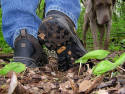 Removing mud and seeds from your shoes can help prevent the spread of invasive plants and animals. (Photo by Kim Lanahan-Lahti, Minnesota Department of Natural Resources, Division of Forestry)