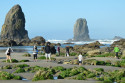 The Needles next to Haystack Rock at Cannon Beach on the Clatsop County  Terry Richard/Staff